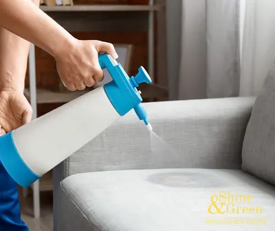 Shine&Green Sandra Dragan